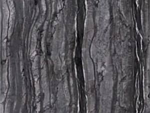 Nero Zebrino Limestone Polished